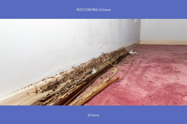 PEST CONTROL El Cerro